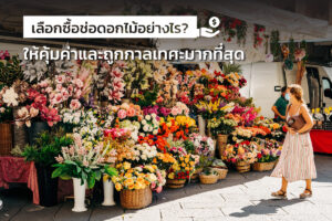 เลือกซื้อดอกไม้ให้คุ้มค่า