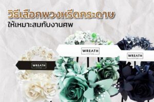 ปก